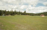 Meadow by lodge